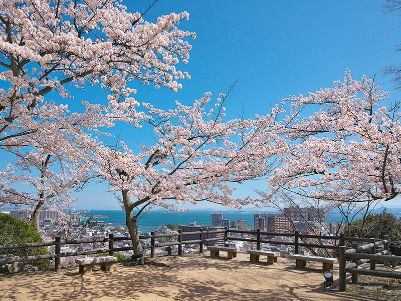 ◇近江懐石料理を堪能!『三井寺の歴史を肌で感じる1棟貸しプラン』《朝・夕食付》