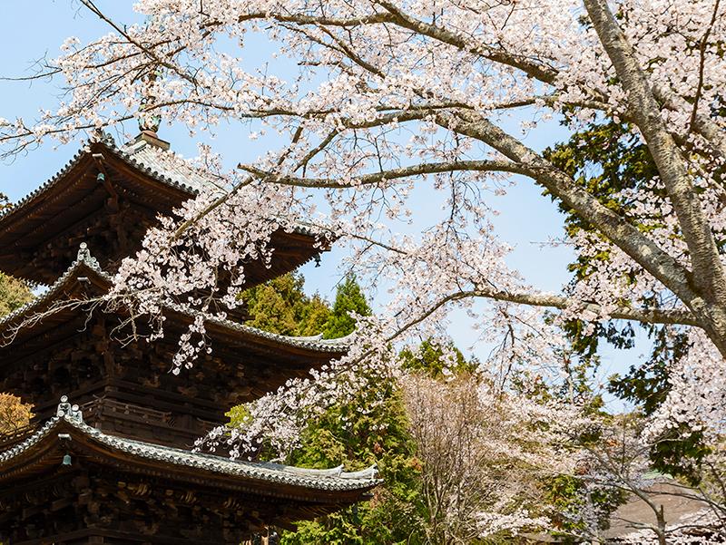 ◇特別な文化体験と出張料理人による極上のおもてなし!『1棟貸しフルパッケージプラン』《朝・夕食・体験付》