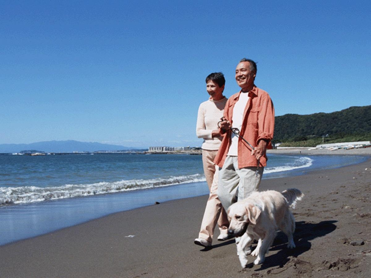 【シニア旅応援!】50歳以上の方同伴でお料理グレードアップ&ワンドリンクプレゼント♪<■特選コース>