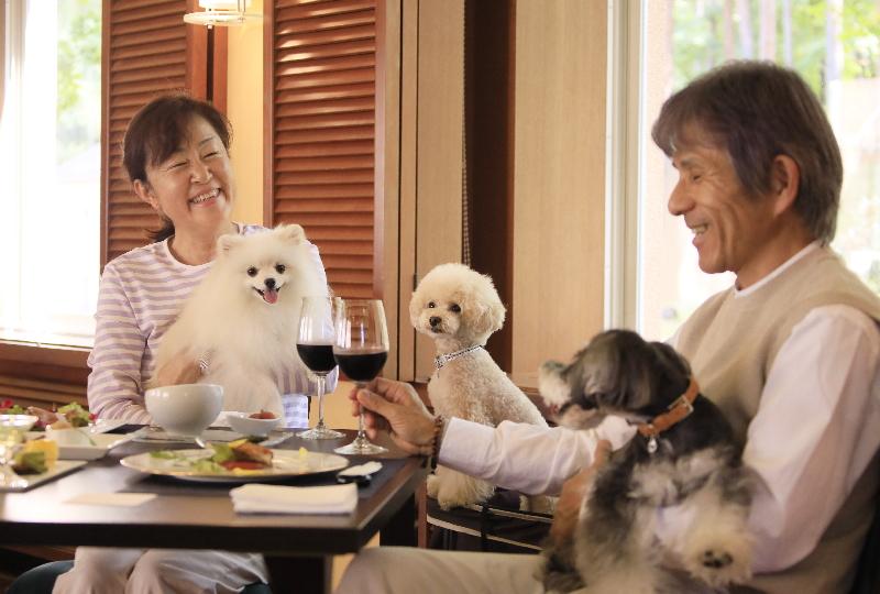【オータムセール】最大20%オフ!当館の基本プランをお得に楽しめる<風コース★2食付>