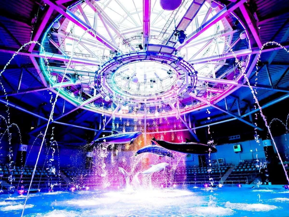 映画館や水族館が楽しめる!エンターテインメントパスポート付きステイ(室料のみ)