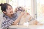 【ペットと一緒!連泊でお得★】湯の山温泉を知り尽くす連泊プランでお得!会員制リゾートステイ/素泊まり